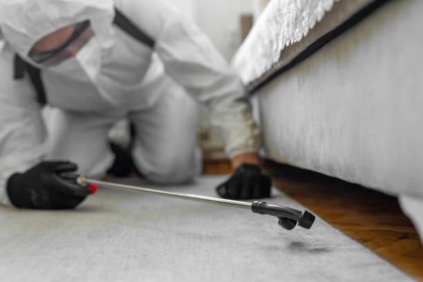 Professional Bed Bug Control technician working in Inglewood, CA