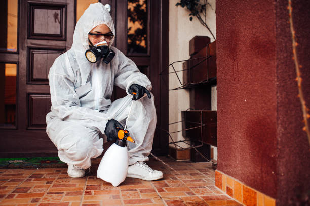 Reliable Bed Bug Control contractor in Inglewood, CA by Nex Pest Control