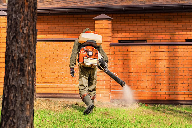 Trusted Termite Control service in Inglewood, CA - Nex Pest Control